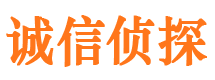 分宜外遇调查取证